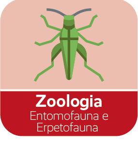 Corso Entomofauna ed Erpetofauna