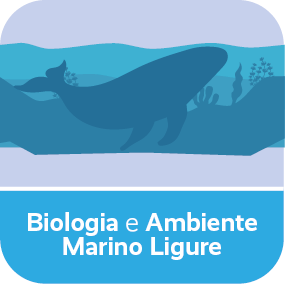 Corsi gratuiti per le Aziende (Formazione continua) 19 Ambiente Marino
